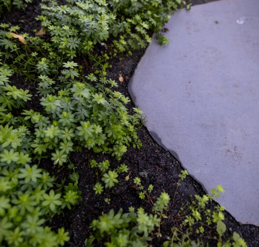 Curved paved path house corner