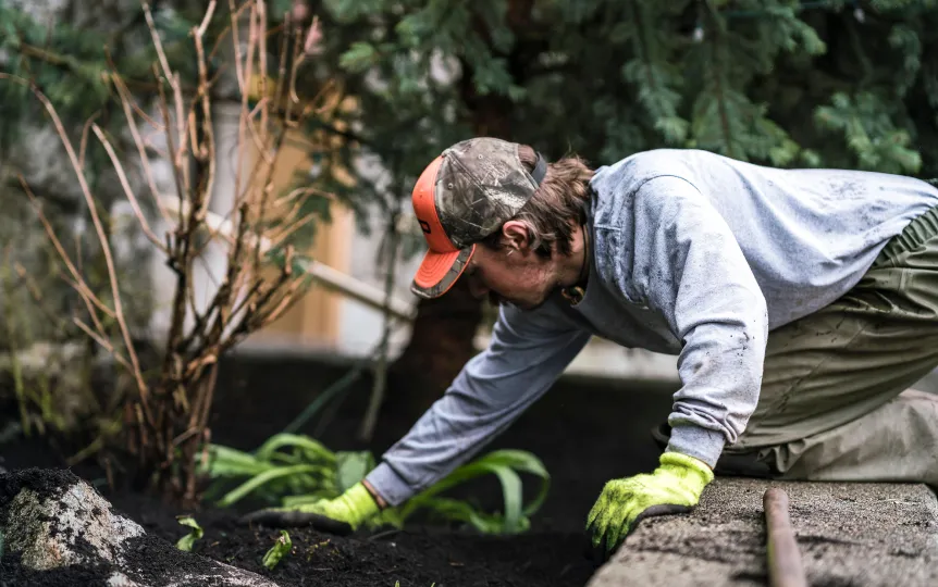 Gardener weeding planting bed