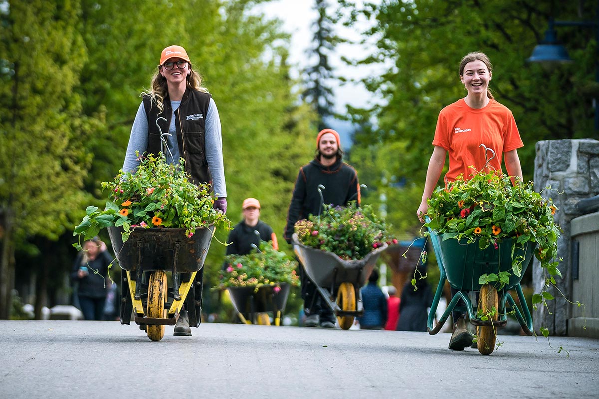 Hanging basket installation crew