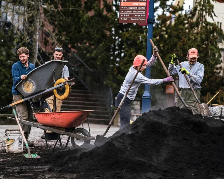 Landscape crew mulch installation