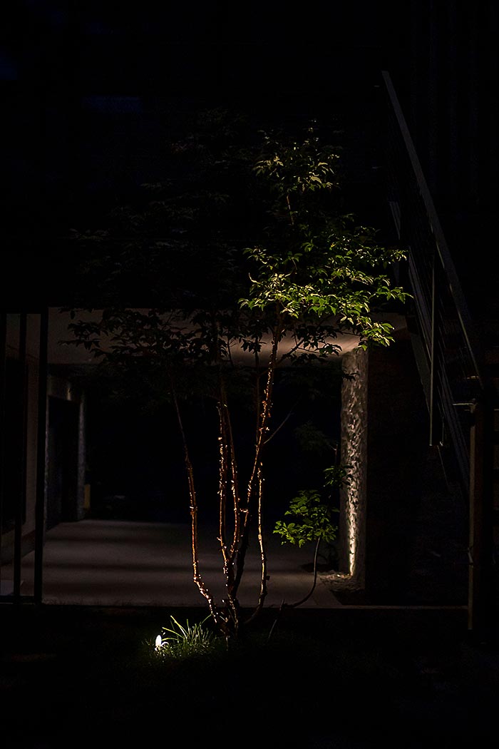 Landscape lighting cube feature night