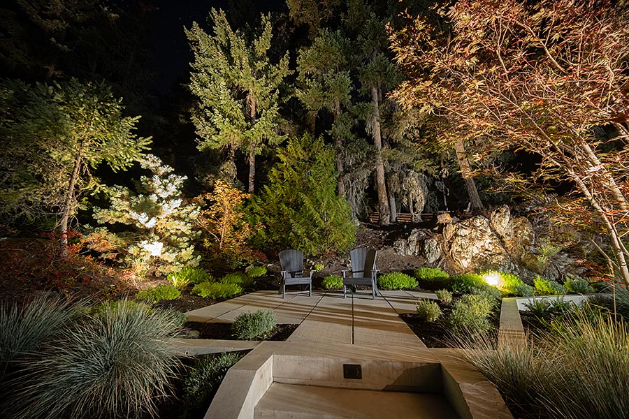 Landscape lighting illuminated treetops