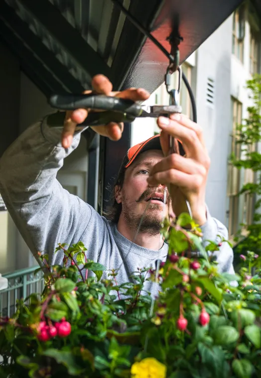 Pruning shrub ladder