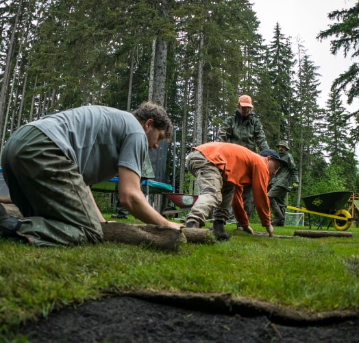 Sod installation crew