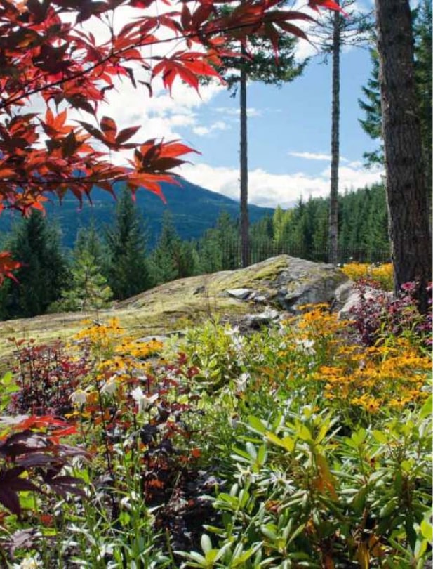 Stonebridge show home japanese maple mountain view